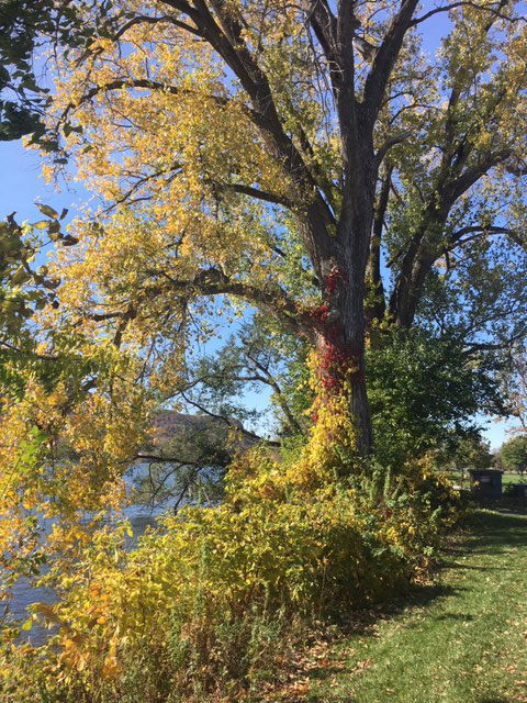Winona, Minn.